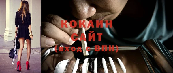 ешки Алексин