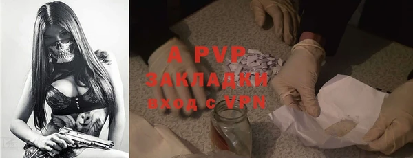 ешки Алексин