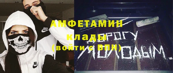 ешки Алексин