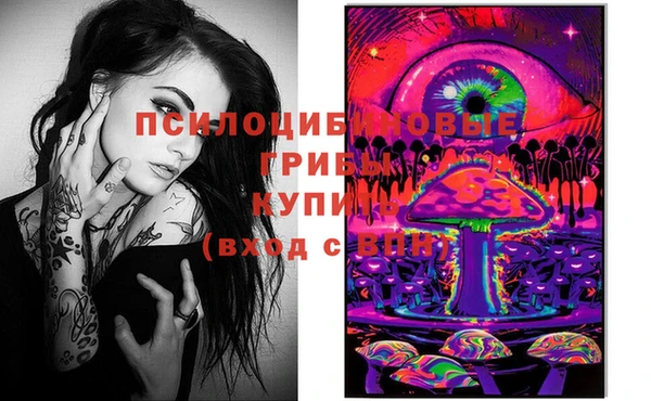 ешки Алексин